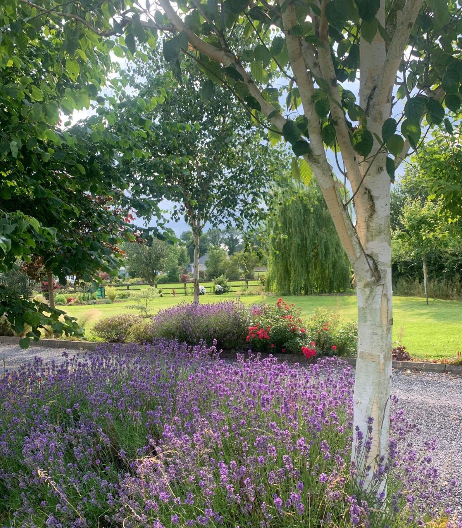 Apartamento Swallow's Rest Garden Ashbourne